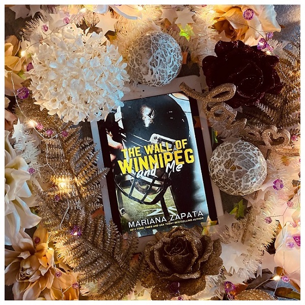 Álbumes 102+ Foto The Wall Of Winnipeg And Me Actualizar